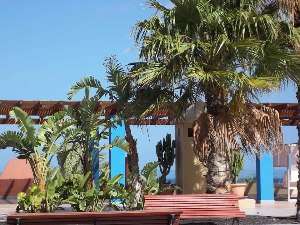 Blick von der Terrasse H10 Tindaya