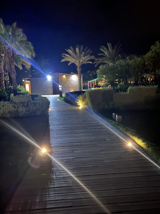 Gartenanlage Hilton Cabo Verde Sal Resort