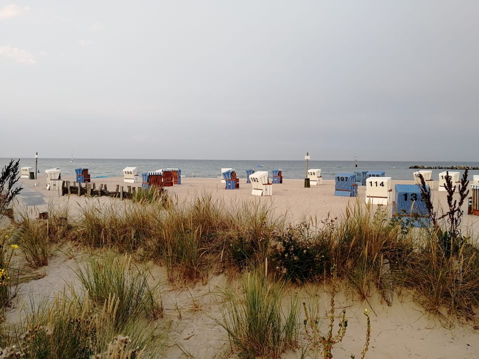 Strand Damp Ostsee Resort & Ferienpark