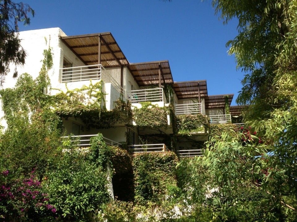 Bungalow Typ Apollonia Beach Resort & Spa