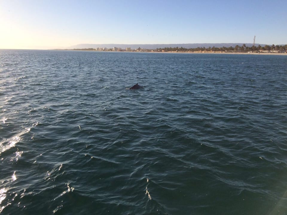 Strand Salalah Rotana Resort