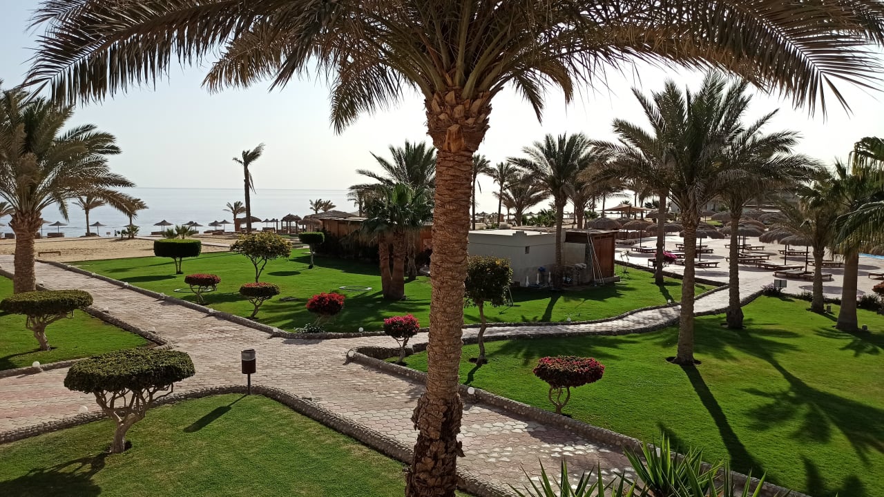 Gartenanlage Three Corners Sea Beach Resort