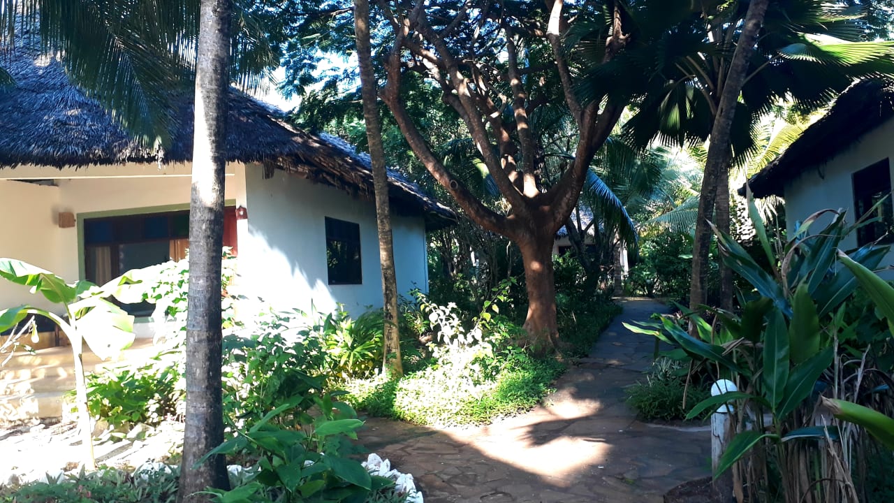 Gartenanlage Spice Island Hotel & Resort