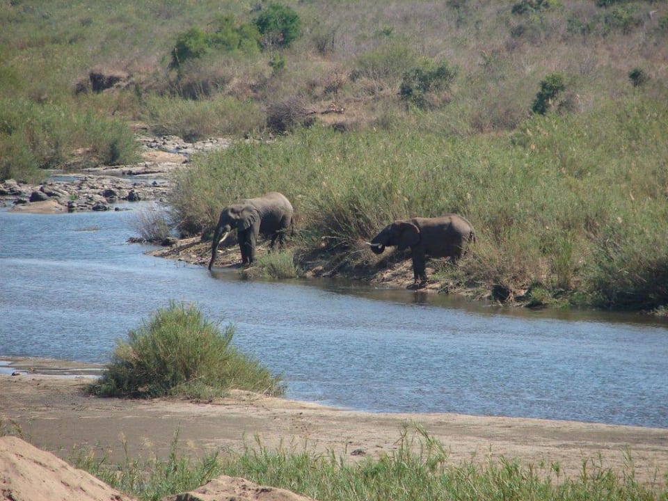 Tiere vor der Tür Hotel Buckler's Africa