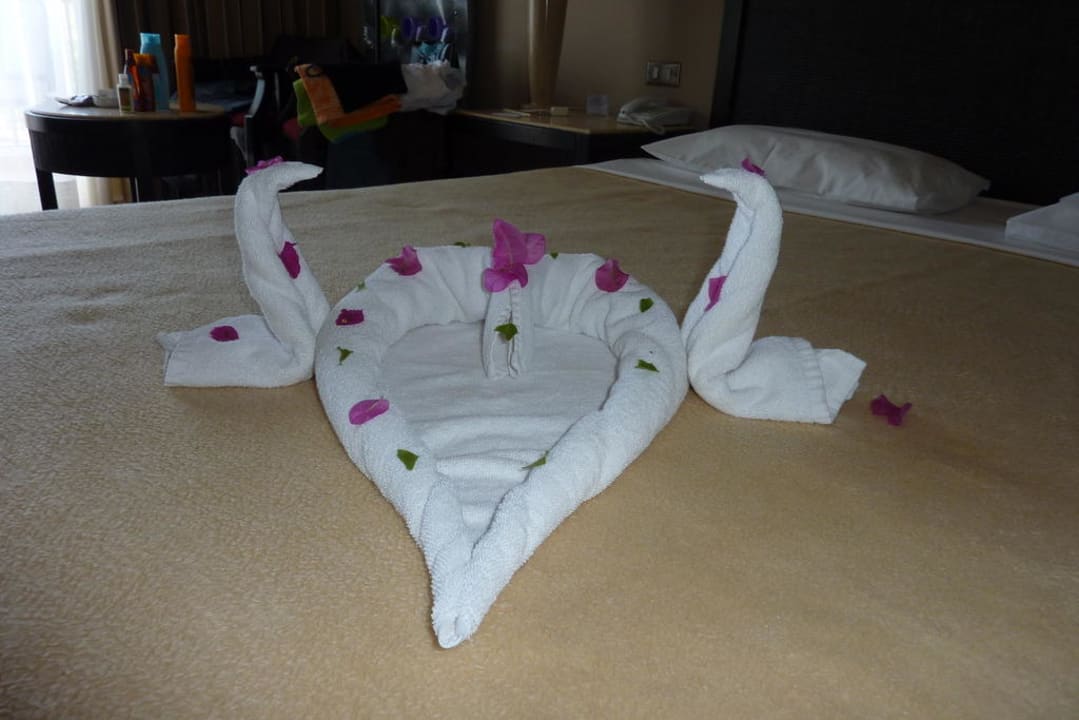 Nice arrangement JAZ Dahabeya