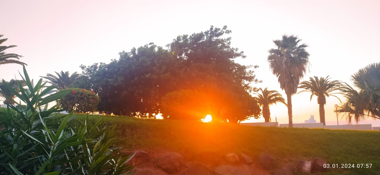Ausblick allsun App.-Hotel Esquinzo Beach