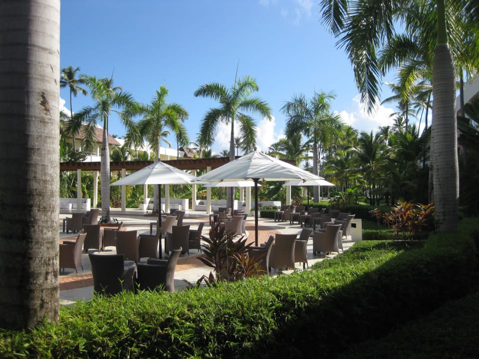  Show Plaza Secrets Royal Beach Punta Cana - Adults only