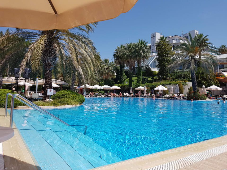 Pool Side Star Elegance