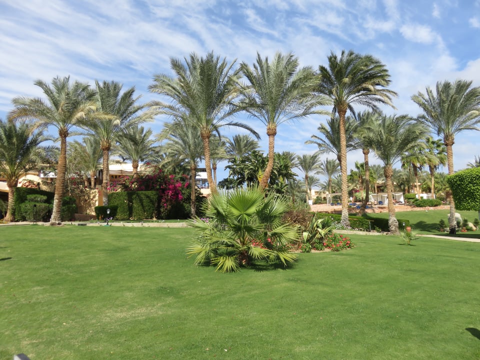 Garten Steigenberger Coraya Beach - Adults only