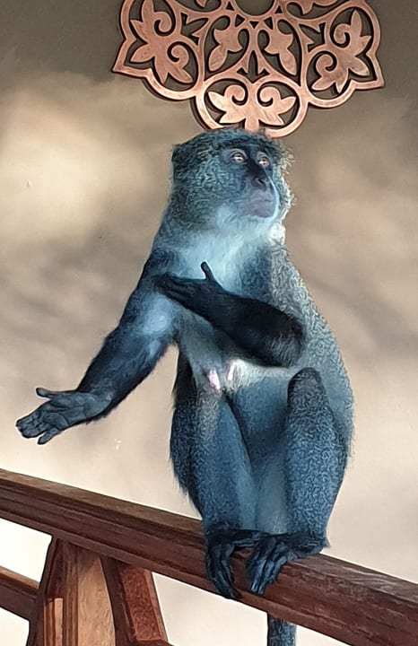 Sonstiges Neptune Village Beach Resort & Spa