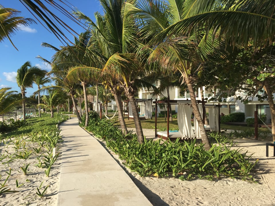 Gartenanlage Akumal Bay Beach & Wellness Resort