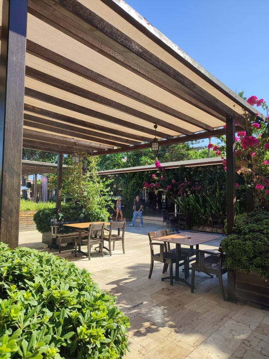 Gastro Club Turtas Beach Hotel