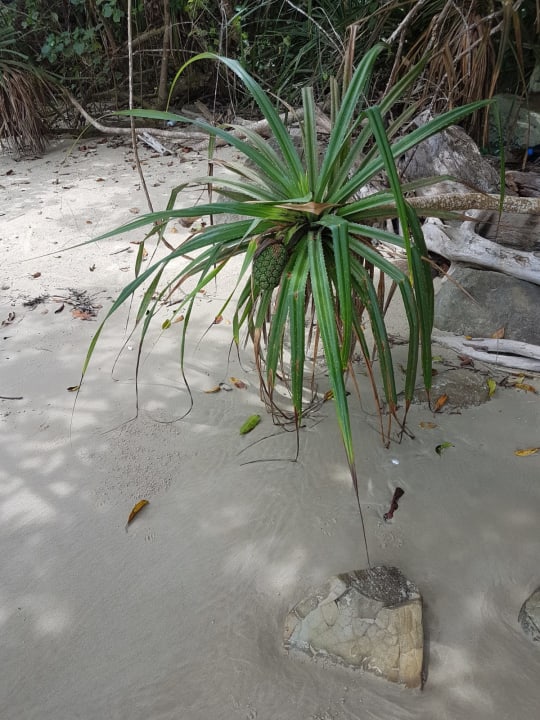 Sonstiges Shangri-La's Rasa Ria Resort & Spa