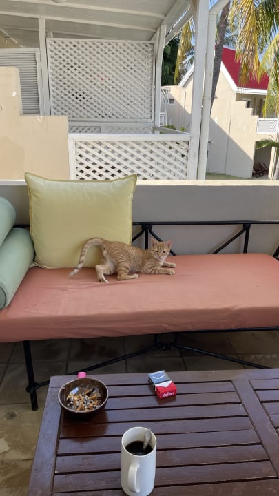 Zimmer Hotel Villas Caroline