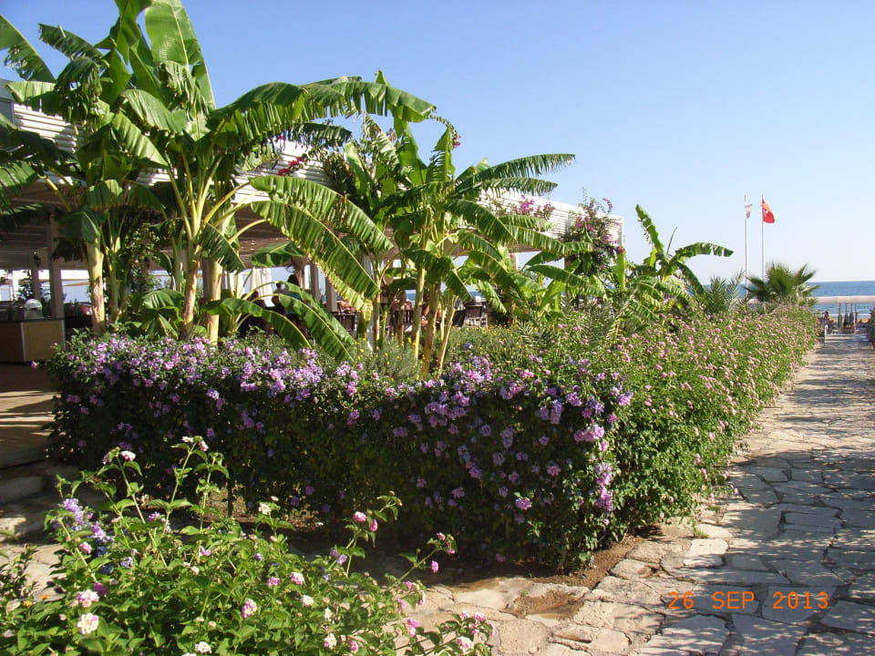 Snackbar Bella Resort & Spa