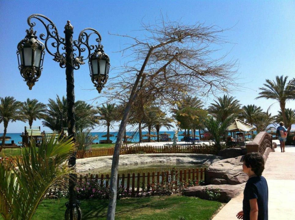 Palm Royale Soma Bay Palm Royale Resort - Soma Bay