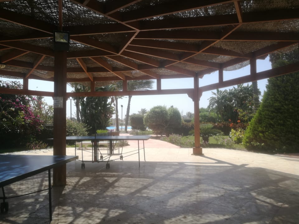 Sport & Freizeit Hotel Gorgonia Beach Resort