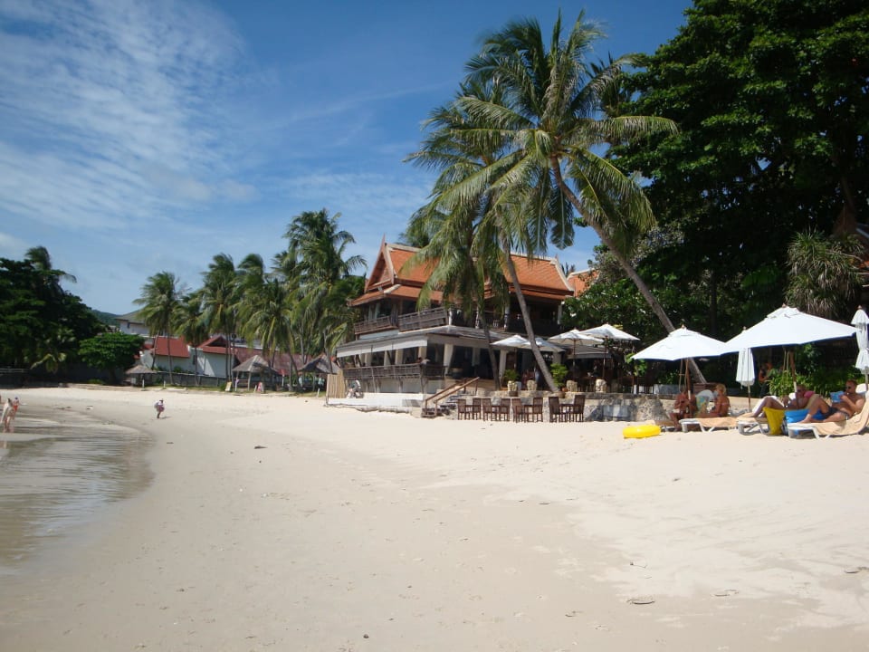 Hotelstrand mit Restaurant Samui Paradise Chaweng Beach Resort & Spa