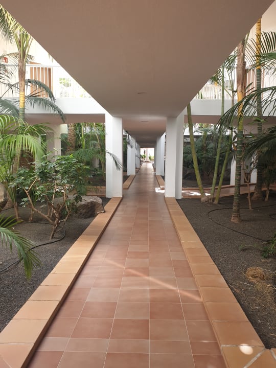 Gartenanlage Hotel Riu Paraiso Lanzarote