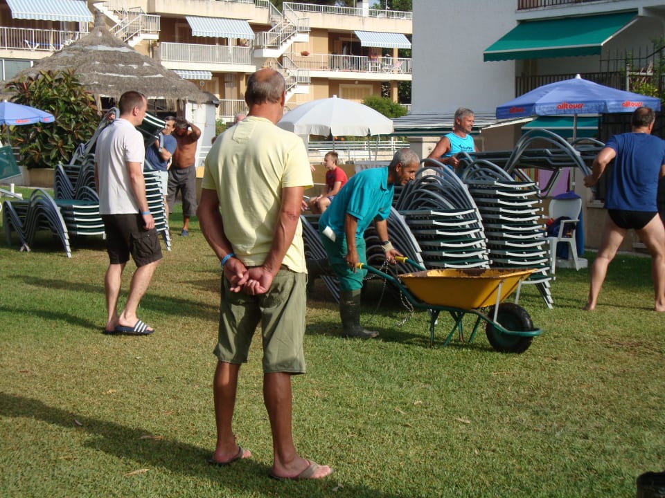 Auf Los gehts los, haleluja allsun Hotel Eden Alcudia
