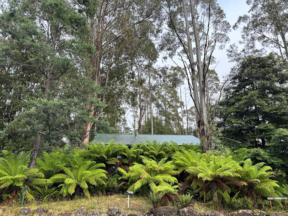 Außenansicht Lemonthyme Wilderness Retreat