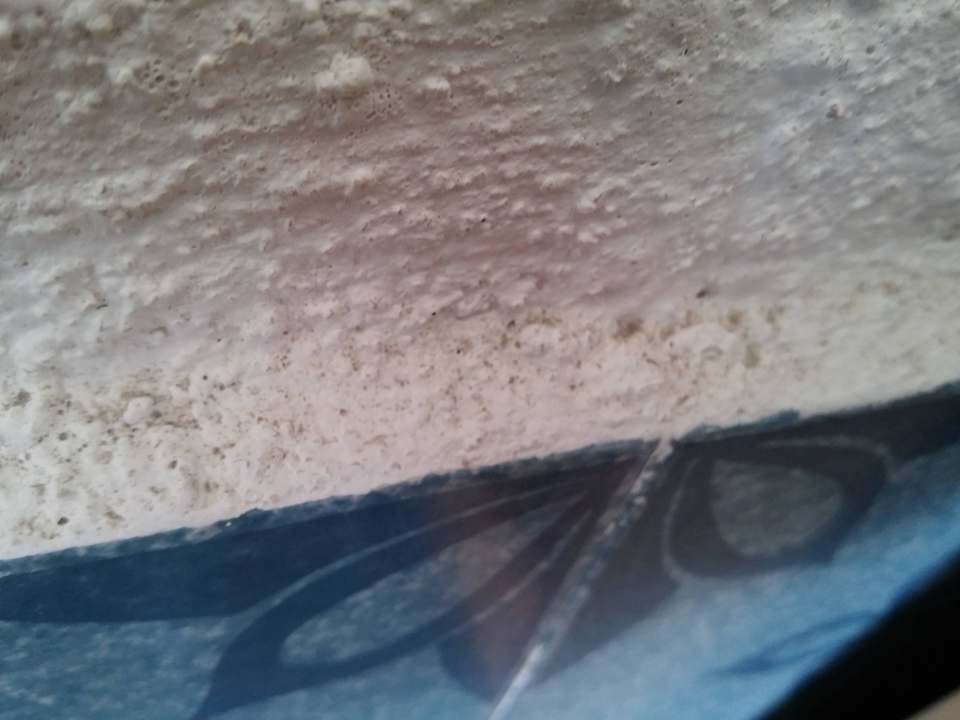 Dreck und Schimmel Hotel Marina Club