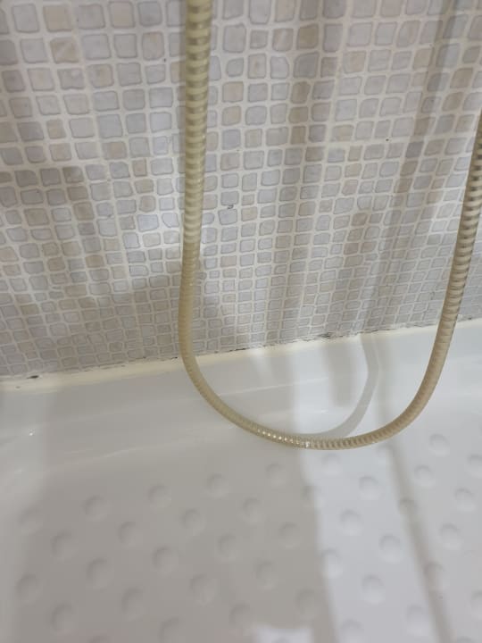 Zimmer Alexandra Beach Thassos Spa Resort