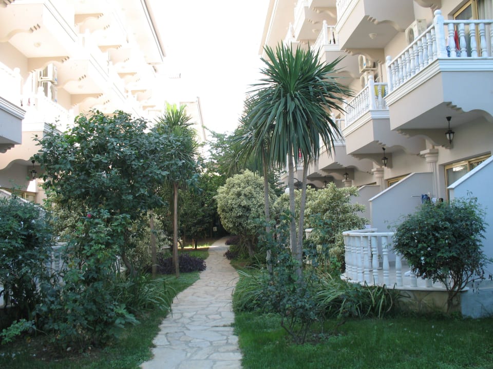 Зелень у отеля Aydinbey Famous Resort
