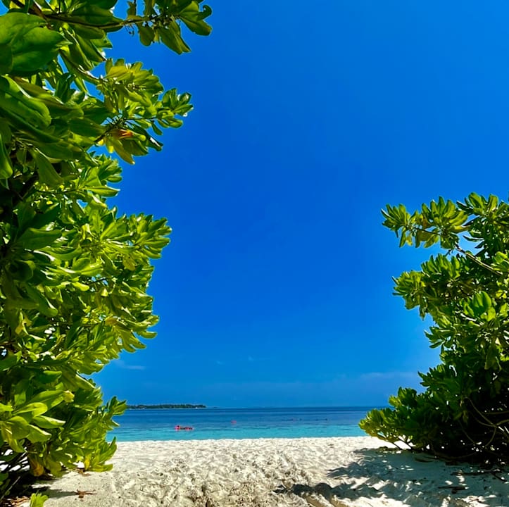 Ausblick Vilamendhoo Island Resort & Spa