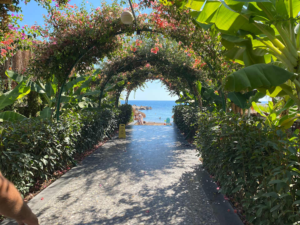 Strand Rubi Platinum Sign