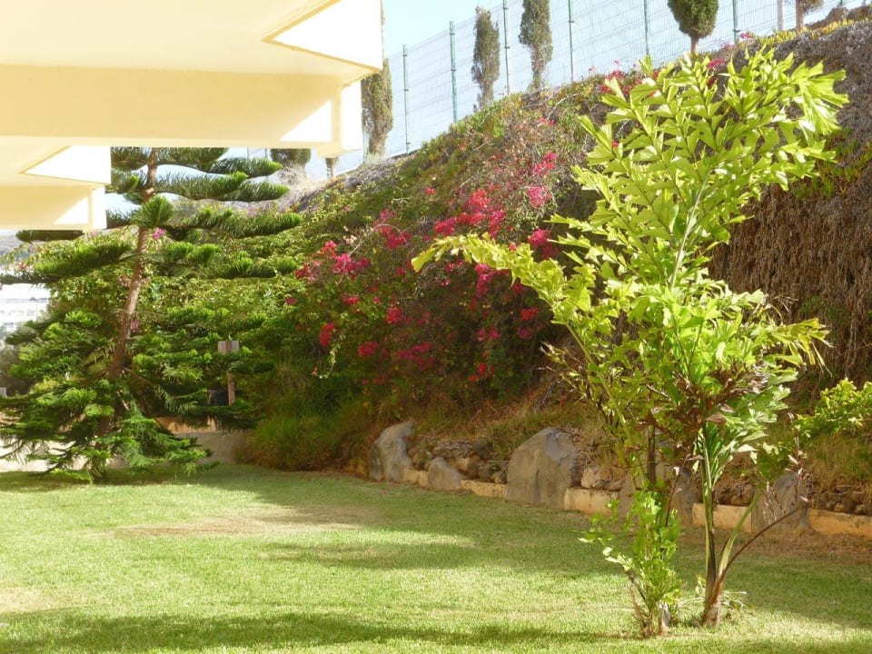 Außenbereich HOVIMA Jardin Caleta