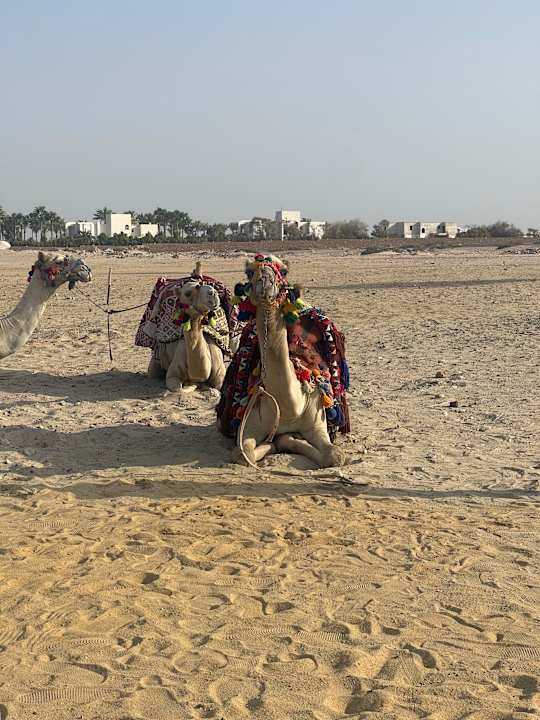 Strand Amarina Queen Resort Marsa Alam