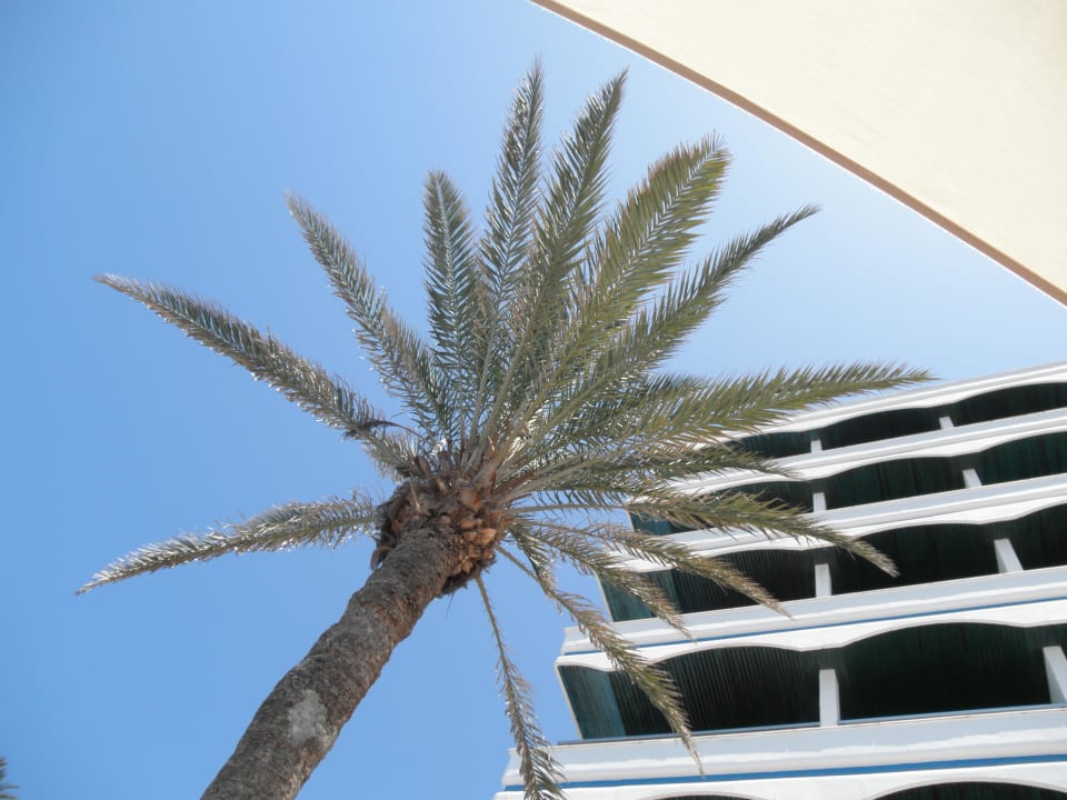Ansicht vom Pool Hotel Faro, a Lopesan Collection Hotel