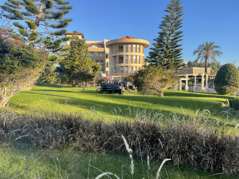 Außenansicht TUI BLUE Xanthe