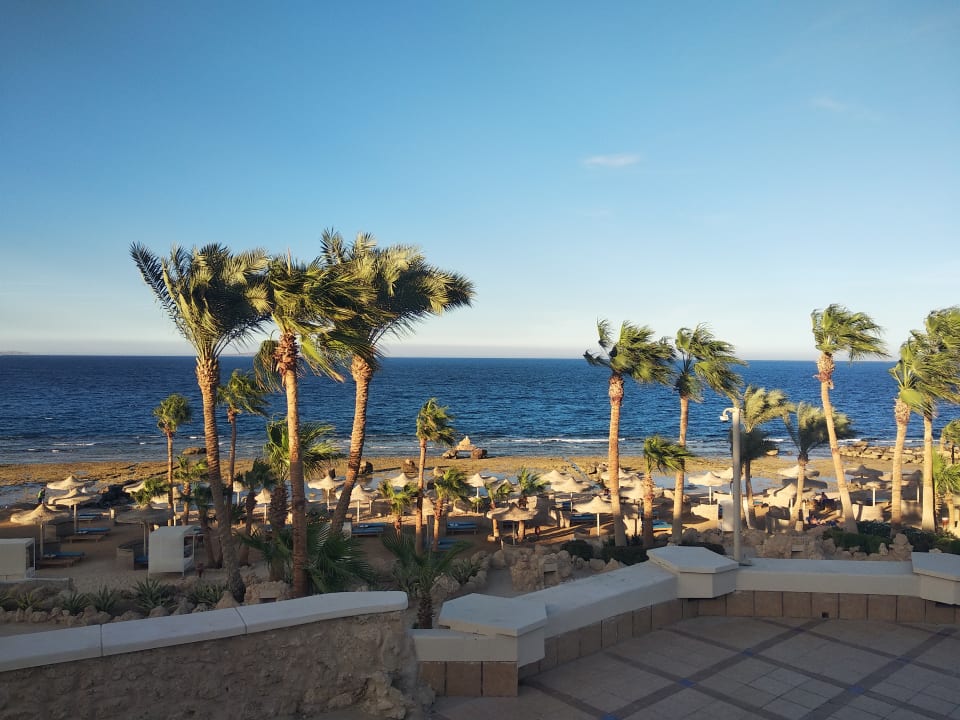 Ausblick Pickalbatros Citadel Resort