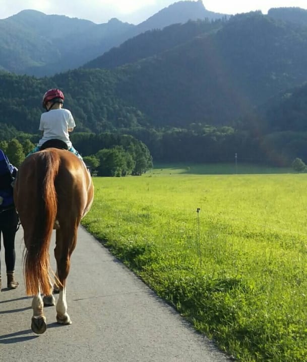 Ausritt mit Panorama Bio-Bauernhof Zacherlhof