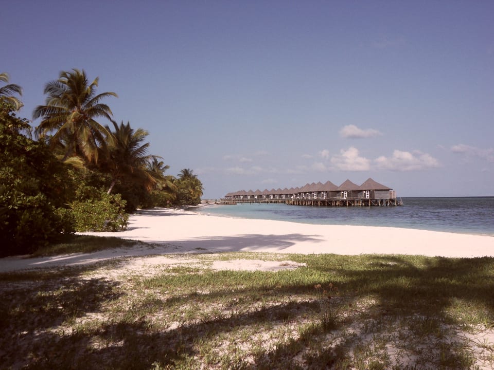 Die Wasserbungalows von unserem Weg aus Kuredu Island Resort & Spa