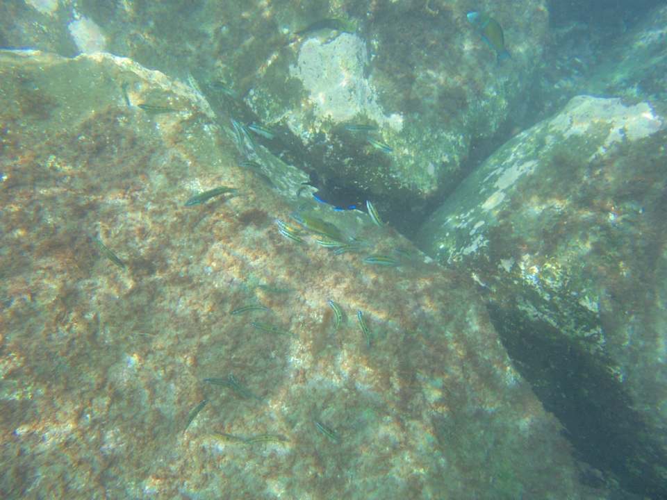 Sport & Freizeit HOVIMA Jardin Caleta