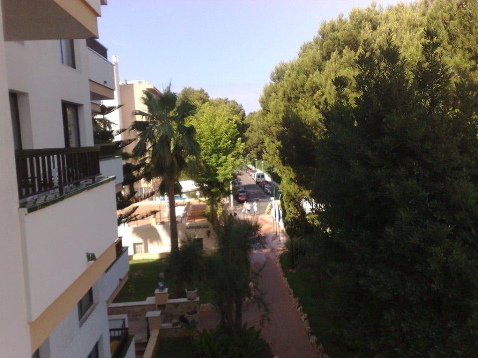 Blick vom Balkon in Zimmer 205 Aparthotel Pabisa Orlando