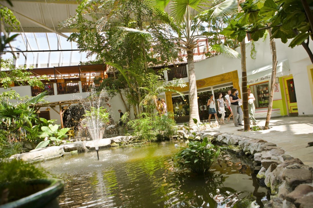 Market Dome Center Parcs Les Hauts de Bruyères