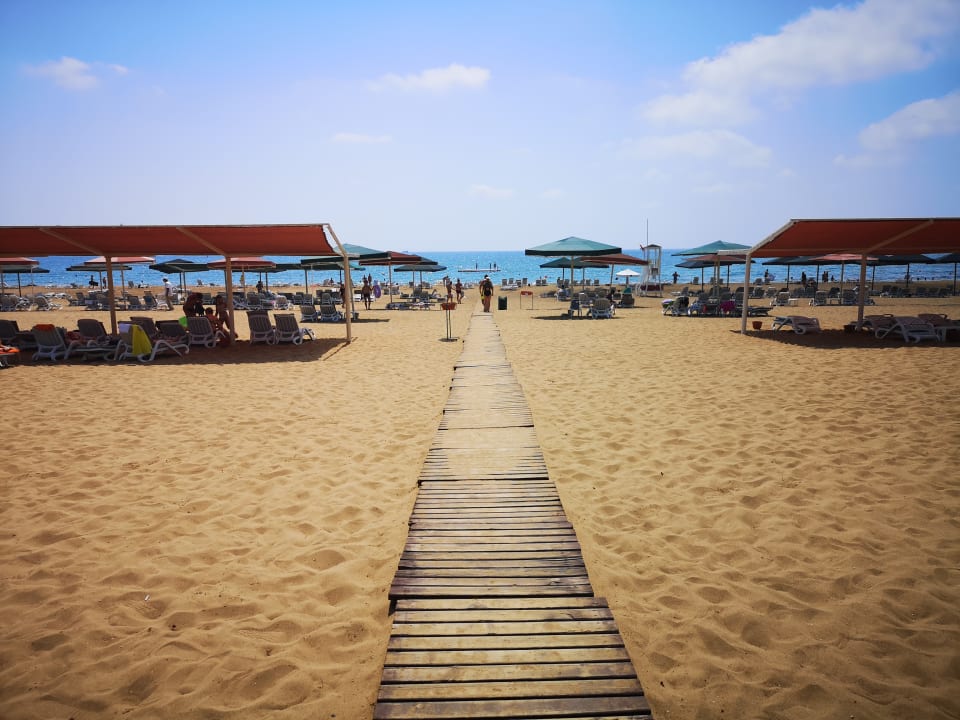 Strand Kamelya Aishen Club