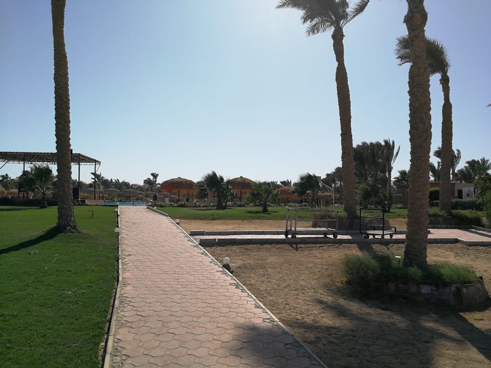 Gartenanlage Three Corners Sea Beach Resort