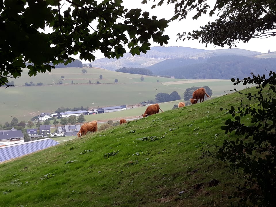 Ausblick Landhotel Wüllner
