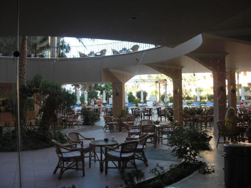 Bar Sea Star Beau Rivage