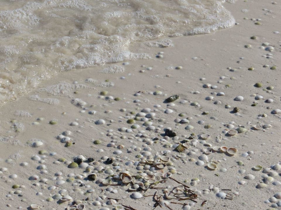 Selbsterklärend Hotel Villas Flamingos