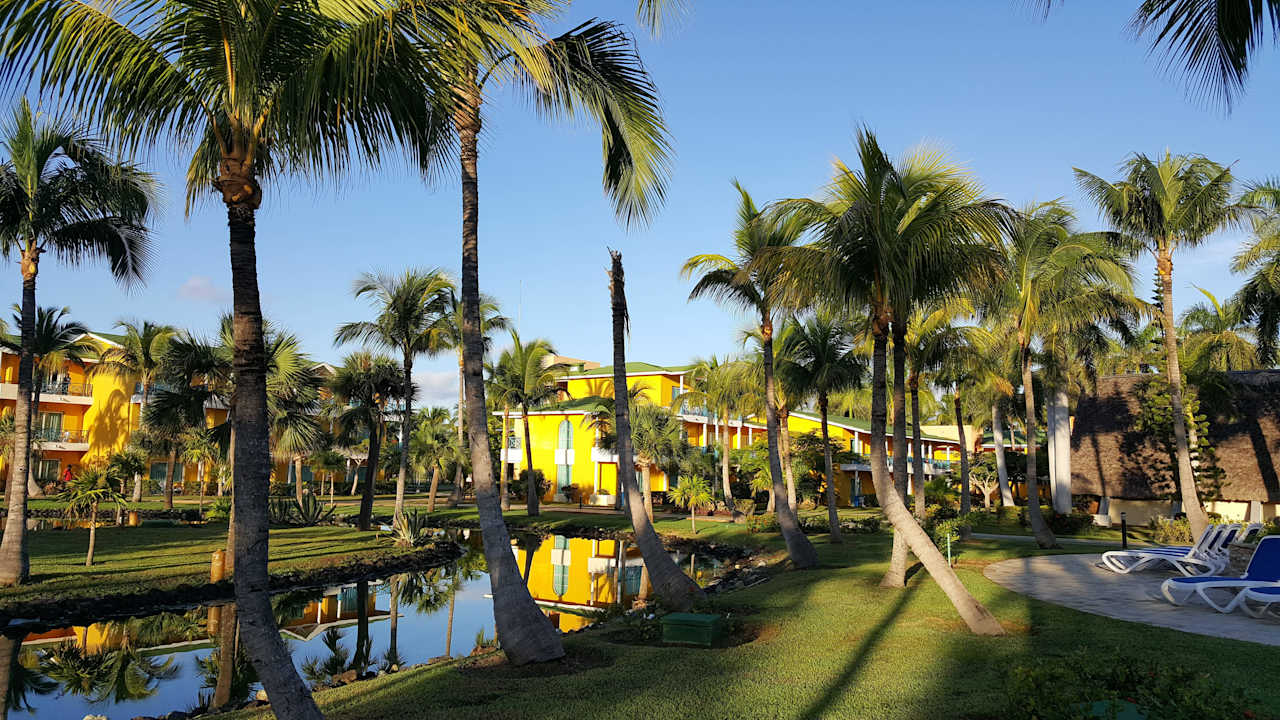 Ansichten und Details der Gartenanlage Melia Las Antillas - Adults only