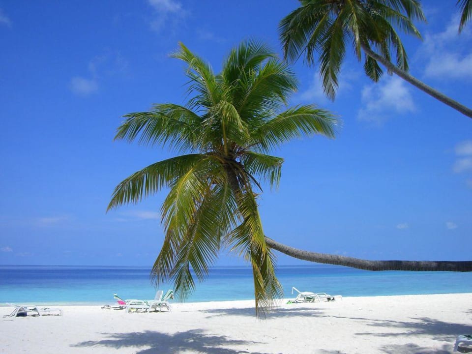 Resortstrand Höhe Bungalow 29 Fihalhohi Maldives