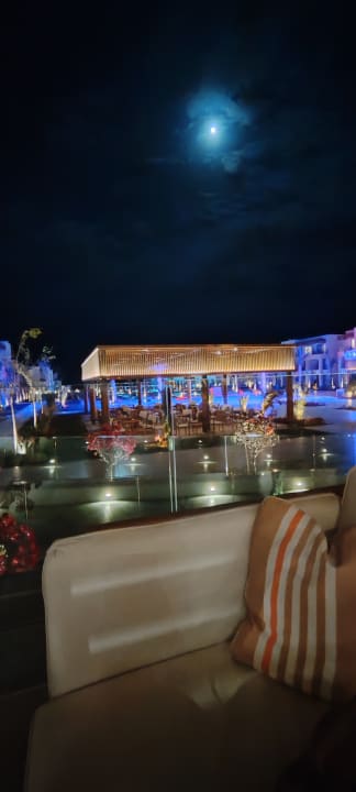 Gastro JAZ Elite Amara