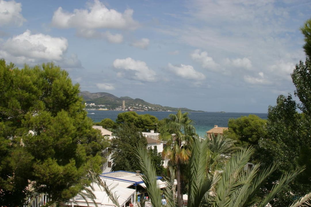 Aussicht zum Meer/Strand Aparthotel Ivory Playa