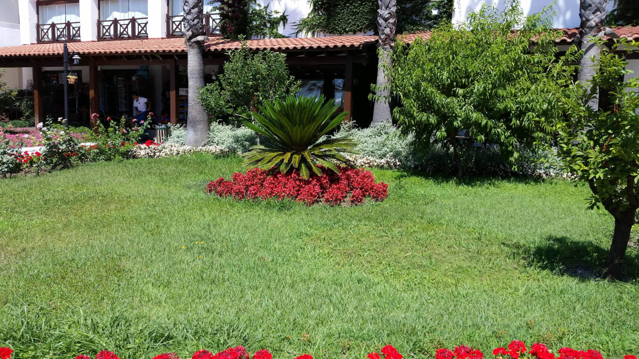 Garten Emelda Sun Club